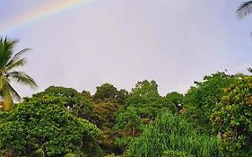 Vista Alta Ecolodge Bahia Drake